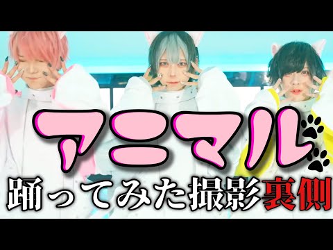 「アニマル 踊ってみた」撮影裏側密着