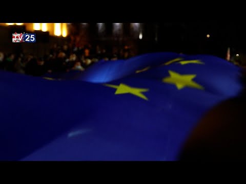 \"რუსული კანონი\" დაარეგისტრირეს - ადგილობრივი პოლიტიკოსების შეფასებები