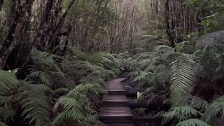 New Plymouth and Mount Taranaki - New Zealand - The mirror lake