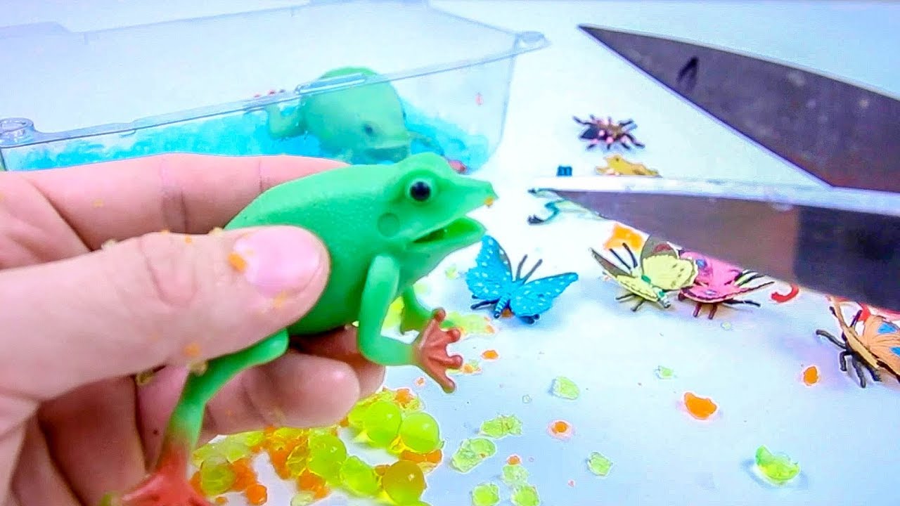 Frog Eats Spiders! Cutting Open Squishy Toy Frogs! 