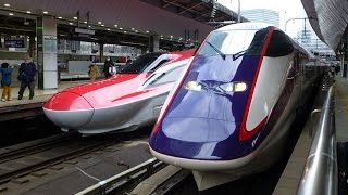 Japan: Tokyo Station Shinkansen on New Years Day 2015