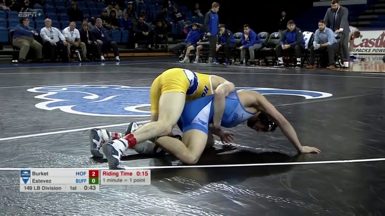 Hofstra vs Buffalo - 2019 college wrestling dual