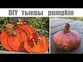 Тыква своими руками / DIY Осенний декор / DIY pumpkin Fall decor