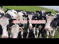 ナイタイテラスへ　~前半ひたすらドライプ動画~