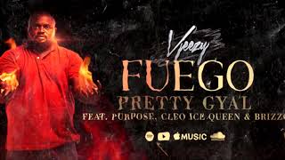 Pretty gyal - VJeezy featuring Purpose ,Cleo icequeen & Brizzo