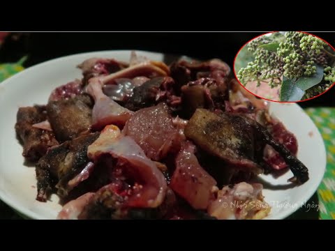 Video LẨU THÚ RỪNG • Trèo Mắc Khén Rừng # 2 - youtube