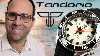 Are Tandorio watches good Panda TD236 Dive Watch review