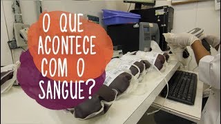 O que acontece com o sangue depois da doação?