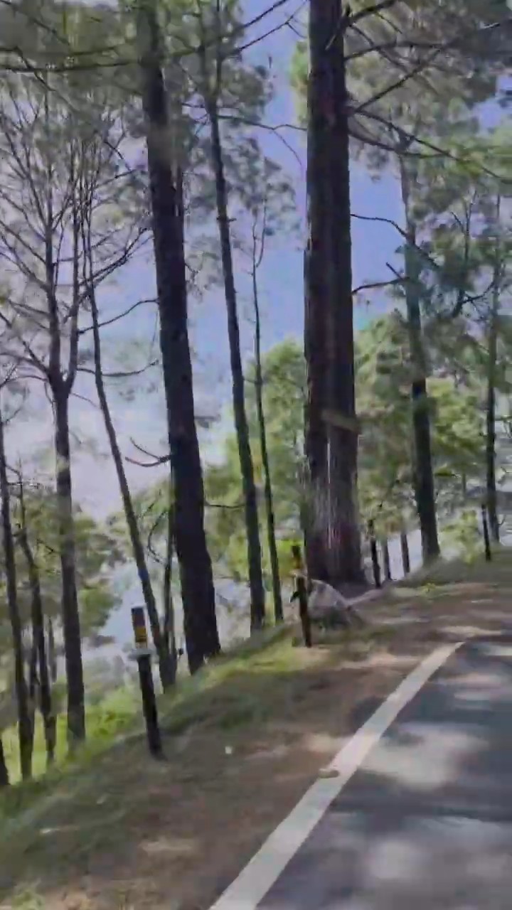 ❤️Love You ज़िंदगी ❤️ - ShareChat