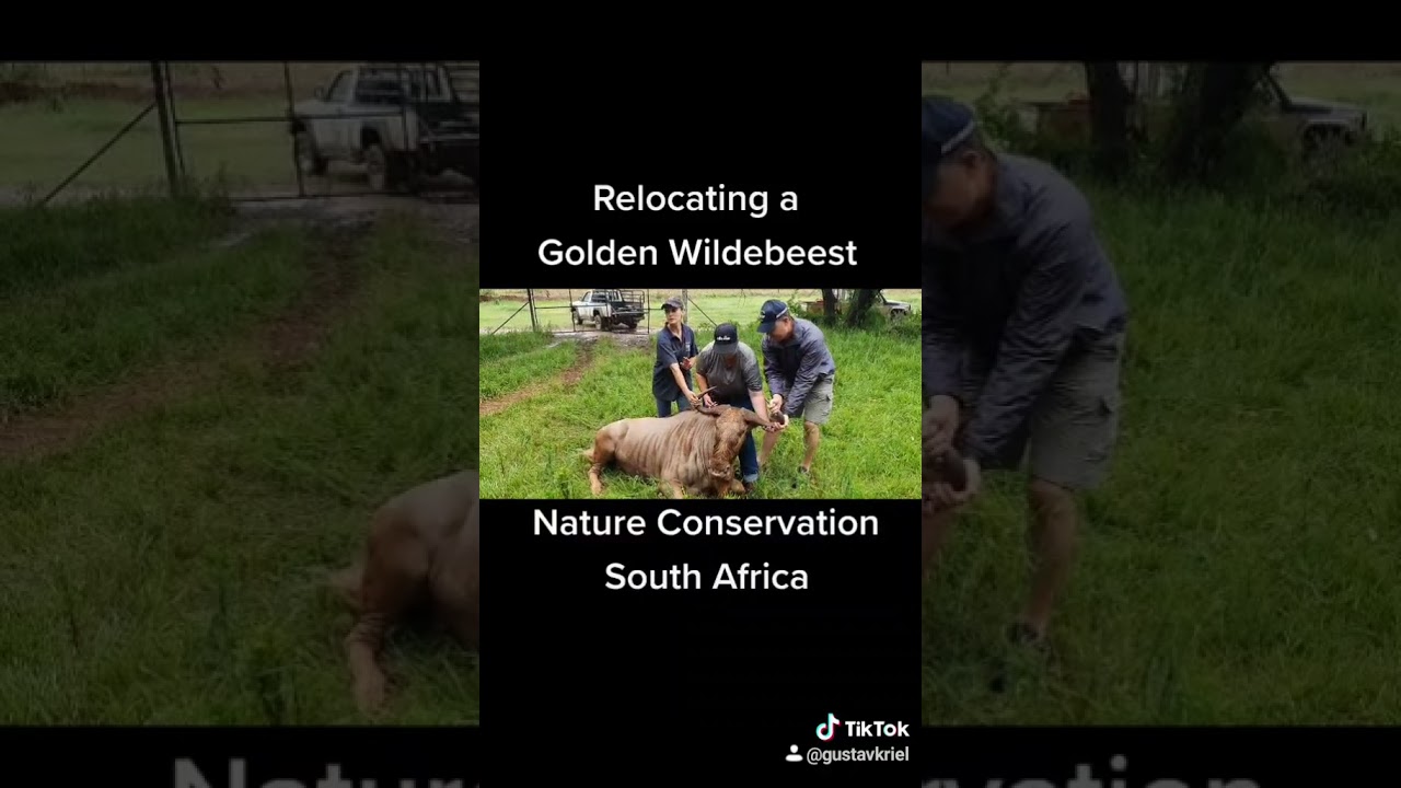 Nature Conservation