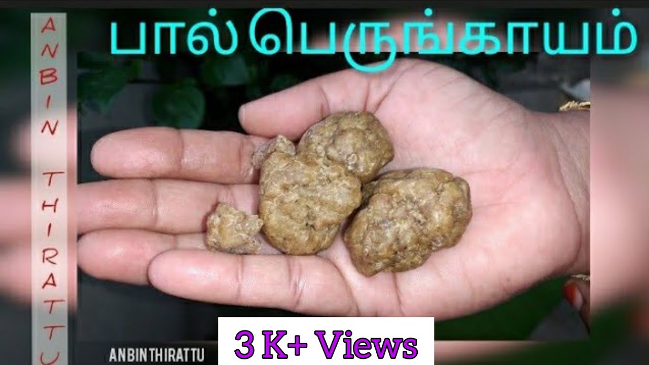 Pal Perungayam Perungayam | Pal perungayam | பால் பெருங்காயம்| பெருங்காயம்| Asafoetida