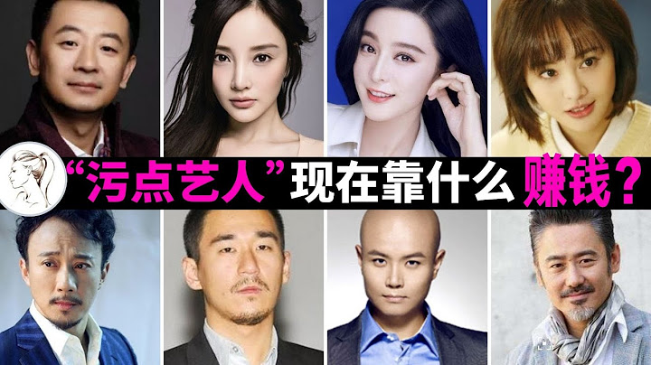被封杀的明星如今靠啥维生？盘点范冰冰 郑爽 吴秀波 李小璐 张默 黄海波  乐嘉 赵立新的现状 - 天天要闻