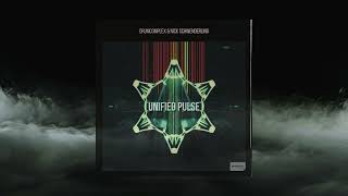 Drumcomplex & Nick Schwenderling - Unified Pulse