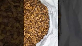 Purina Youtube