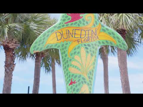 631 Pinewood Dr, Dunedin, FL home video tour