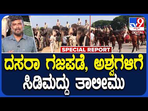 Mysore Dasara Special: ಗಜಪಡೆ ಅಶ್ವಗಳಿಗೆ ಸಿಡಿಮದ್ದು ತಾಲೀಮು-ಕುಶಾಲತೋಪಿನ ಸದ್ದಿಗೆ ಜಗ್ಗದ ಗಜಪಡೆ|#TV9D