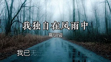 我独自在风雨中  - 高明骏 【我独自在风雨中让纷乱的心绪】【动态歌词Lyrics】