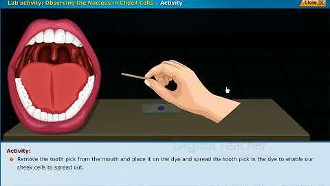 Unit-1 Cell its Structure and Functions | Andhra Pradesh Board - Class IX