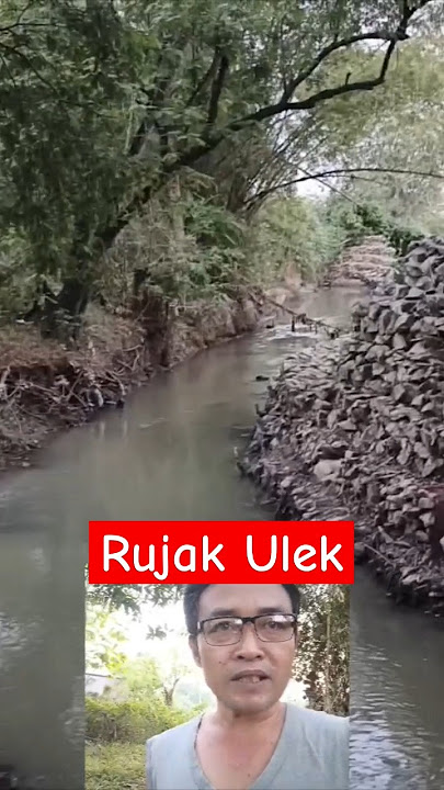 Rujak Ulek #langgamjawaklasik #langgam #langgamjawacampursari #waljinah