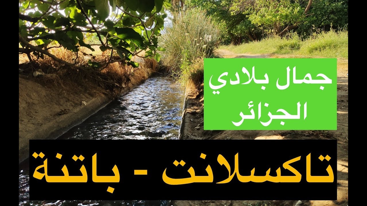 جمال بلادي الجزائر - تاكسلانت باتنة :: قرب نقاوس