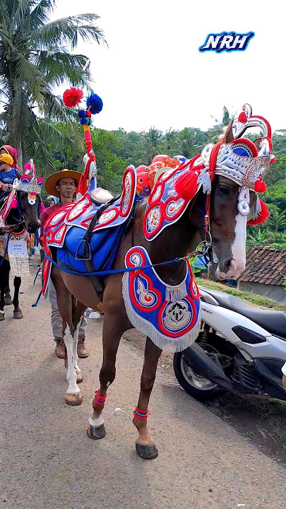 Kuda Renggong Paling Banyak di hajatan Bos Banyu Manik Stable #kudarenggongsumedang #kudarenggong