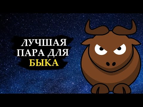 Совместимость знака БЫК - лучшая пара