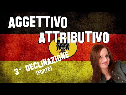 Lezione Tedesco 20 | Declinazione dell&rsquo;aggettivo attributivo (2 di 3) | 3^ Declinazione (forte)