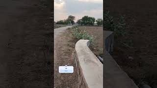  Shothttpsyoutubecompantary5702featureshared