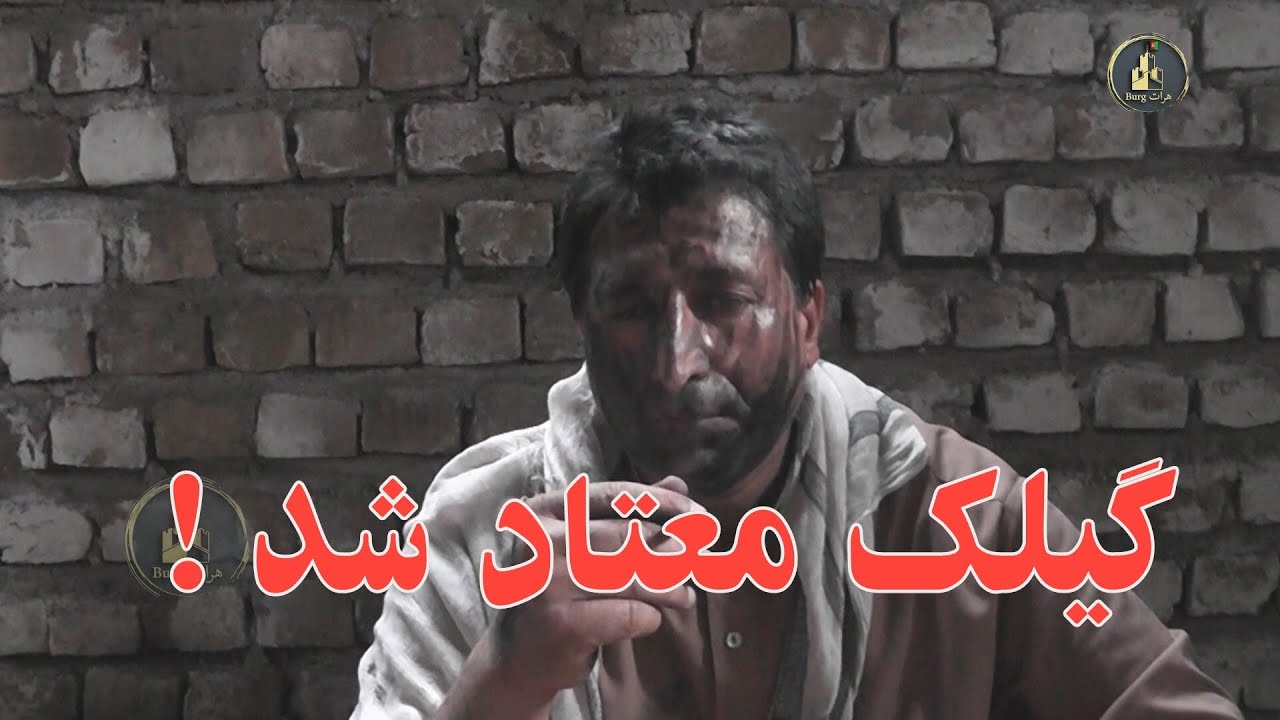 گیلک معتاد شد !