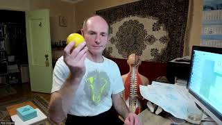 Кинезио йога с Петром Егоровым - 14 занятие 24.04.2024 - Задняя линия + асаны