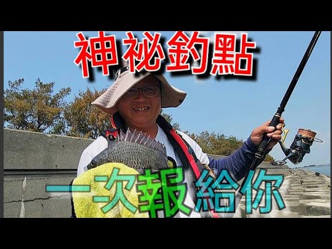 神秘釣點，當地推薦私密垂釣點 報給你知 Fishing 台湾の釣り 낚시 câucá 爆釣 パチスロ