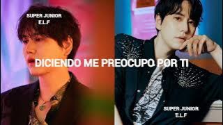 KYUHYUN AND WE SUB ESPAÑOL