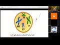 التفسير الحديث لقانون التوزيع الحر على ضوء الانقسام الاختزالي التلقيح الاختباري