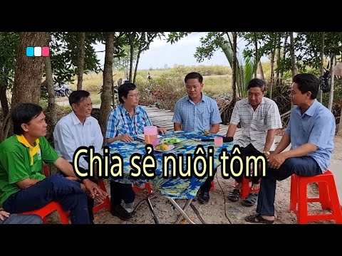 Kinh nghiệm nuôi tôm quảng canh đạt hiệu quả