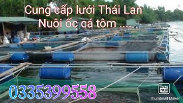 cung cấp lưới Thái lan nuôi cá ốc tôm lươn ếch nhận làm hàng đặt đủ mọi kích thước 0335399558