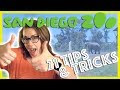 San Diego Zoo | 21 Tips and Tricks | Southern California Vacation