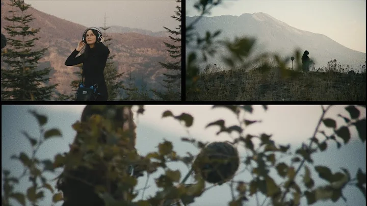 Patricia Wolf - Woodland Encounter (Official Music...