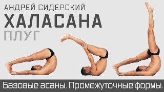 Промо | Плуг (халасана). Сидерский. Промо | Плуг (халасана). Сидерский.