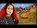 آهنگ و دمبوره هزارگی جدید زندان دل از حسین سرشار 