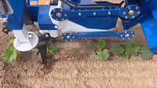 Ullmanna Ai Weeder Working In Pumpkins