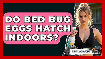 Do Bed Bug Eggs Hatch Indoors? - Insects and Invaders