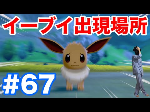 67 ポケモンソード イーブイ の出現場所 条件 4番道路でかなりの低確率で出現 最新作の攻略実況プレイ Youtube