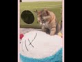 みんなのドラえもん✨✨（2025年10月26日）