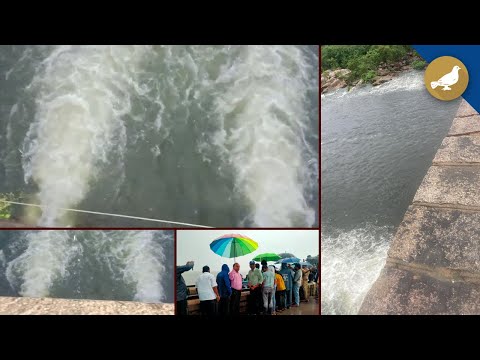 Hyderabad Rain: Gates of Osman Sagar, Himayath Sagar opened