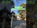 お祓い　浄化　一万人に一人しか見えません【玉鉾神社遠隔参拝】 #孝明天皇 #運気上昇 #パワースポット #遠隔参拝 #スピリチュアル #金運上昇#運気アップ#大神神社 #奈良県 #開運祈願 #祓戸神