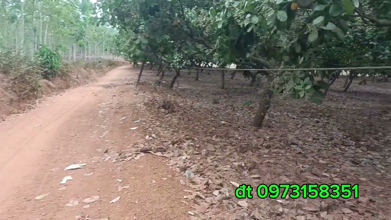 Vị trí đất tọa lạc tại xã Đa Kia huyện Bù Gia Mập tỉnh Bình Phước Ac QT LH em minh Nguyễn 0973158351