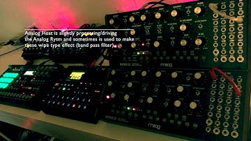 Digitakt | Elektron Analog Rytm & Heat | Moog Mother 32 | Moog Sub 37 | Korg Kronos