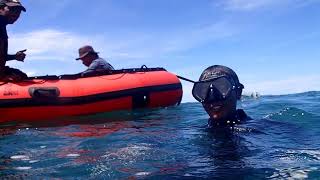 FREE DIVE 20 METER SPEARO TAPAKTUAN
