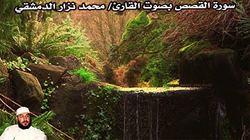 سورة القصص بصوت القارئ/ محمد نزار الدمشقي - Surat Al Qassas
