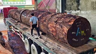 Amazing Sawmill Wood Cutting   Super Giant Wood Tree Saw Millennial Treasure In The Jungle Bushy